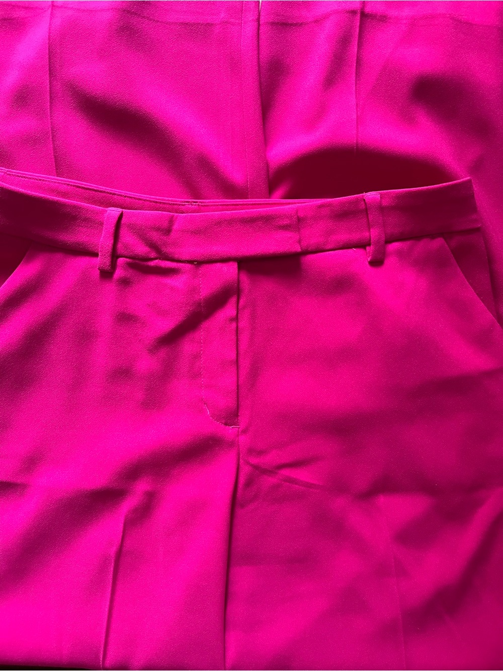 Express Editor Relaxed Trouser Mid-Rise Hot Pink Pants Size 10S